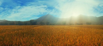 全景1 (3)