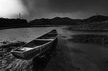 YHL_2550