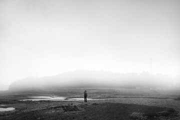 YHL_2596