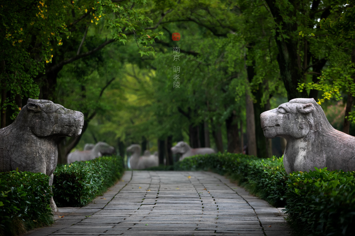 南京明孝陵神道