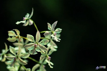 IMG_5965.jpg