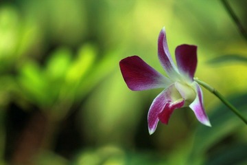 IMG_5968.jpg