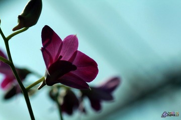 IMG_5970.jpg