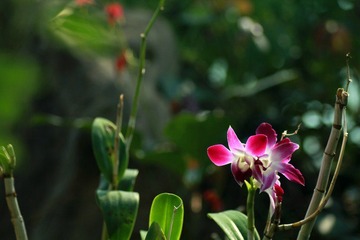 IMG_5969.jpg