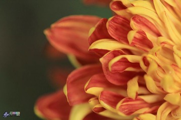 IMG_5182.jpg