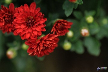 IMG_5187.jpg