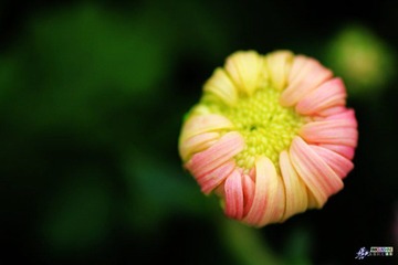 IMG_5190.jpg