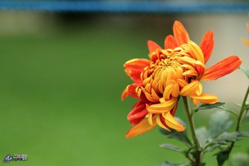 IMG_5200.jpg