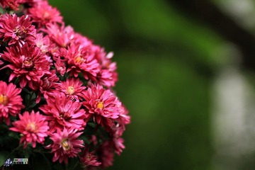IMG_5203.jpg