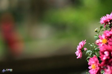 IMG_5205.jpg