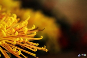 IMG_5212.jpg