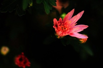 IMG_5388.jpg