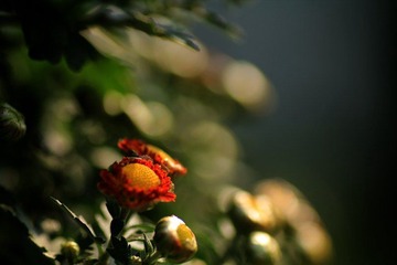 IMG_5397.jpg