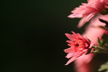 IMG_5399.jpg