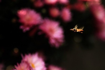 IMG_5400.jpg