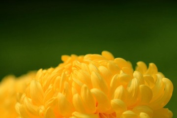 IMG_5404.jpg