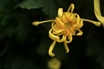 IMG_5405.jpg