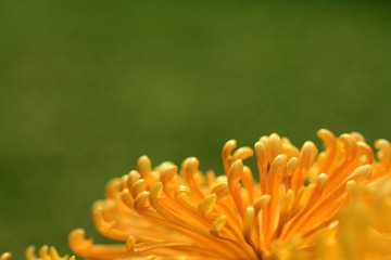 IMG_5406.jpg