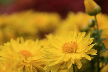 IMG_5411.jpg
