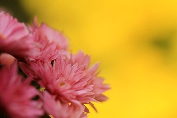 IMG_5413.jpg
