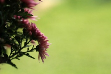 IMG_5422.jpg