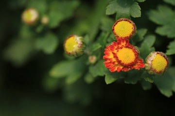 IMG_5430.jpg