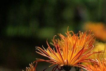 IMG_5434.jpg