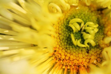 IMG_5436.jpg