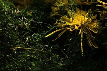 IMG_5438.jpg
