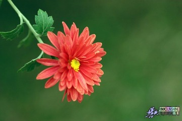 IMG_8795.jpg