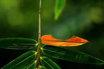 IMG_4114.jpg