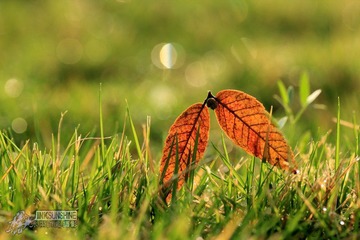 IMG_4664.jpg