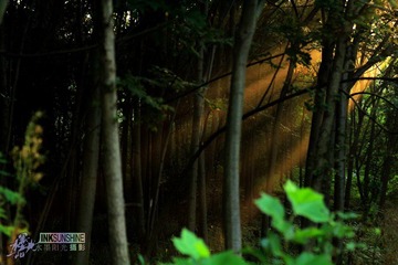IMG_4612.jpg
