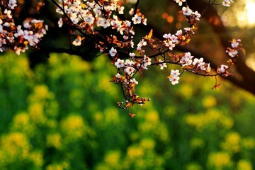 IMG_1317.jpg