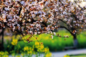 IMG_1318.jpg