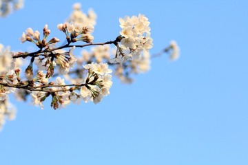 IMG_1324.jpg