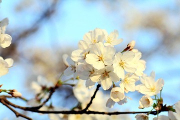 IMG_1328.jpg