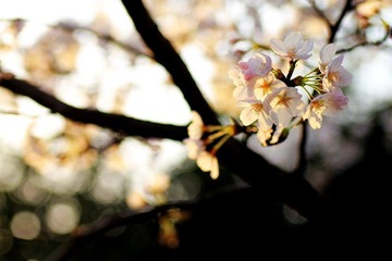 IMG_1330.jpg