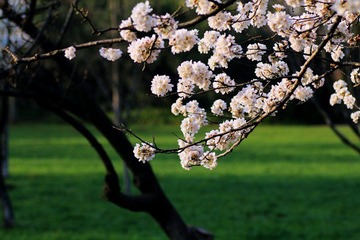 IMG_1356.jpg
