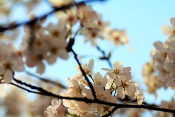 IMG_1357.jpg