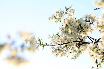 IMG_1366.jpg