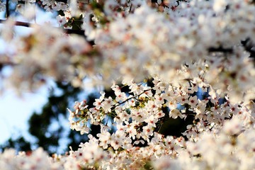 IMG_1607.jpg