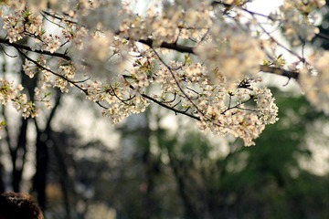 IMG_1624.jpg