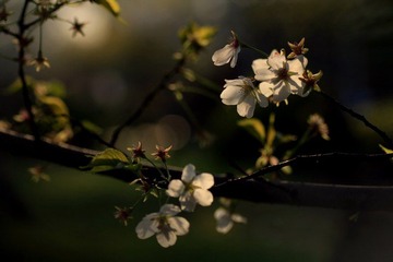 IMG_1631.jpg