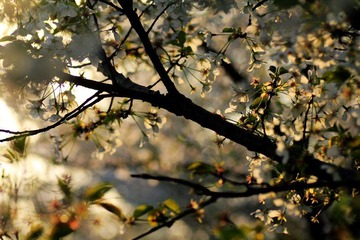 IMG_1634.jpg