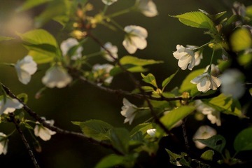 IMG_1636.jpg
