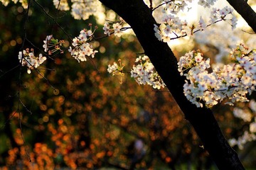 IMG_1648.jpg
