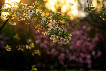 IMG_1674.jpg