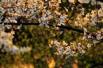 IMG_1689.jpg
