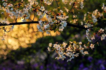 IMG_1690.jpg